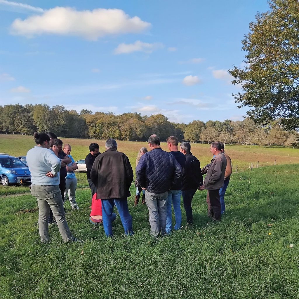 Animation autour pratiques agricoles par la Chambre d'agriculture de la Charente. Réunion à la lisière d'un bois entre agriculteurs.