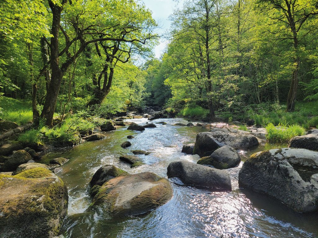 Photo de la rivière Issoire. Les berges très boisées assurent une ombre agréable. de gros blocs de pierre dans le lit de la rivière dessinent des reliefs dans le courant.
